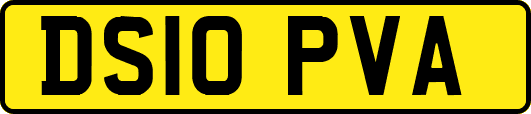 DS10PVA
