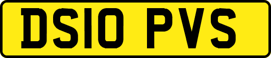 DS10PVS