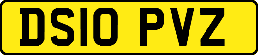DS10PVZ