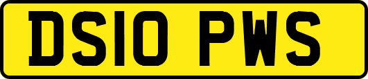 DS10PWS