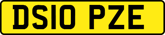 DS10PZE