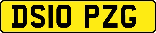 DS10PZG