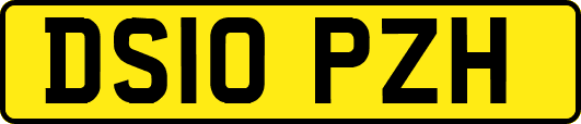 DS10PZH