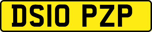 DS10PZP