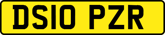 DS10PZR