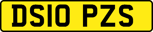 DS10PZS