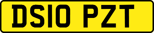 DS10PZT
