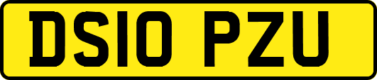 DS10PZU