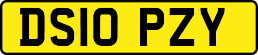 DS10PZY