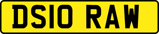 DS10RAW