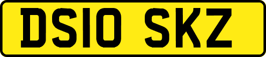 DS10SKZ