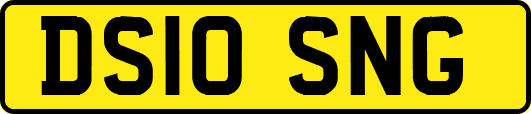 DS10SNG