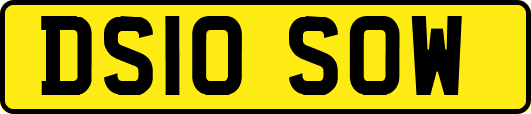 DS10SOW