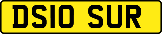 DS10SUR
