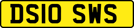 DS10SWS