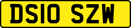 DS10SZW