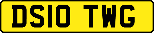 DS10TWG