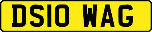 DS10WAG