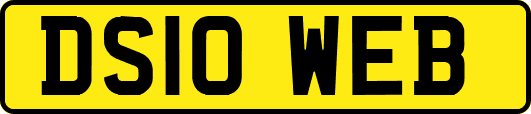 DS10WEB