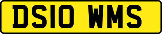 DS10WMS