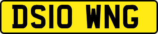 DS10WNG