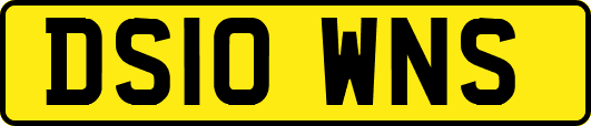 DS10WNS