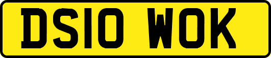 DS10WOK