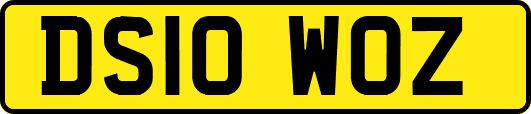 DS10WOZ
