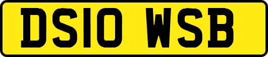 DS10WSB