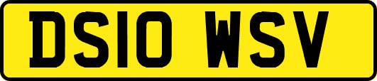 DS10WSV