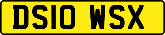 DS10WSX
