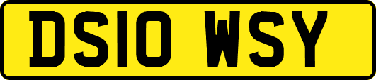 DS10WSY