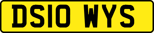 DS10WYS