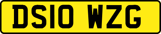 DS10WZG