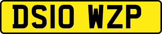 DS10WZP