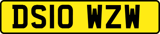 DS10WZW