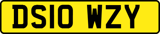 DS10WZY