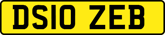 DS10ZEB