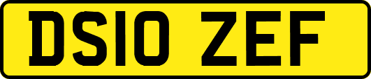 DS10ZEF