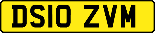 DS10ZVM
