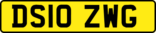 DS10ZWG