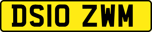 DS10ZWM