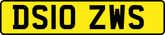 DS10ZWS
