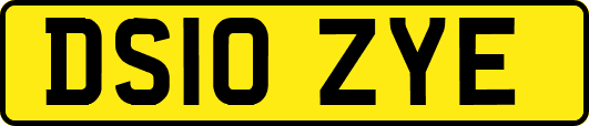 DS10ZYE