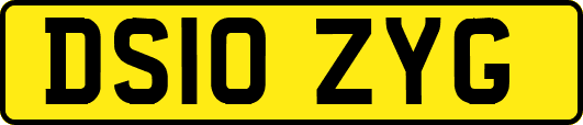DS10ZYG
