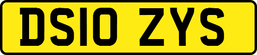 DS10ZYS