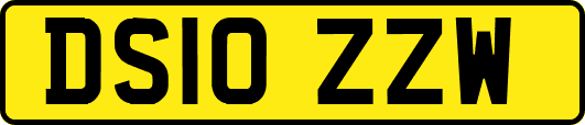 DS10ZZW