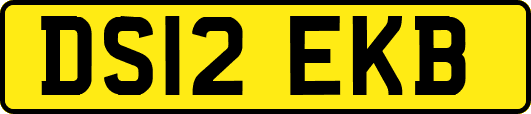 DS12EKB