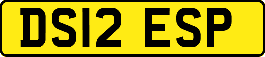 DS12ESP
