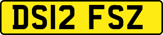 DS12FSZ